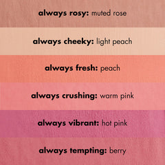 e.l.f Primer-Infused Matte Blush