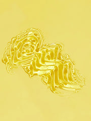 Sheglam Jelly Wow Hydrating Lip Oil