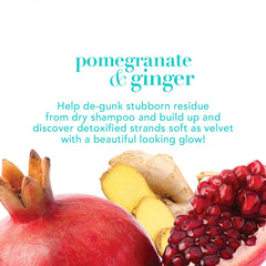 OGX Detoxifying+ Pomegranate & Ginger Conditioner