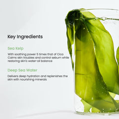 https://buraki.pk/products/biodance-refreshing-sea-kelp-real-deep-mask