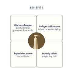 https://allurify.pk/products/treecell-day-collagen-shampoo-morning-of-resort?variant=51765211627836