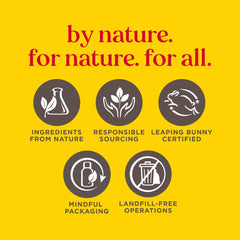 Burt's Bees Assorted Lip Balms Set