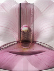 Calvin Klein Euphoria For Women Eau De Toilette