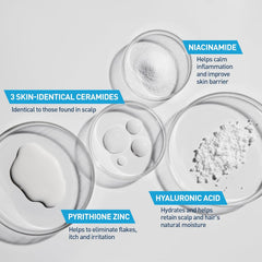 https://buraki.pk/products/cerave-2-in-1-anti-dandruff-hydrating-shampoo-and-conditioner