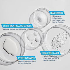 https://buraki.pk/products/cerave-anti-dandruff-hydrating-conditioner