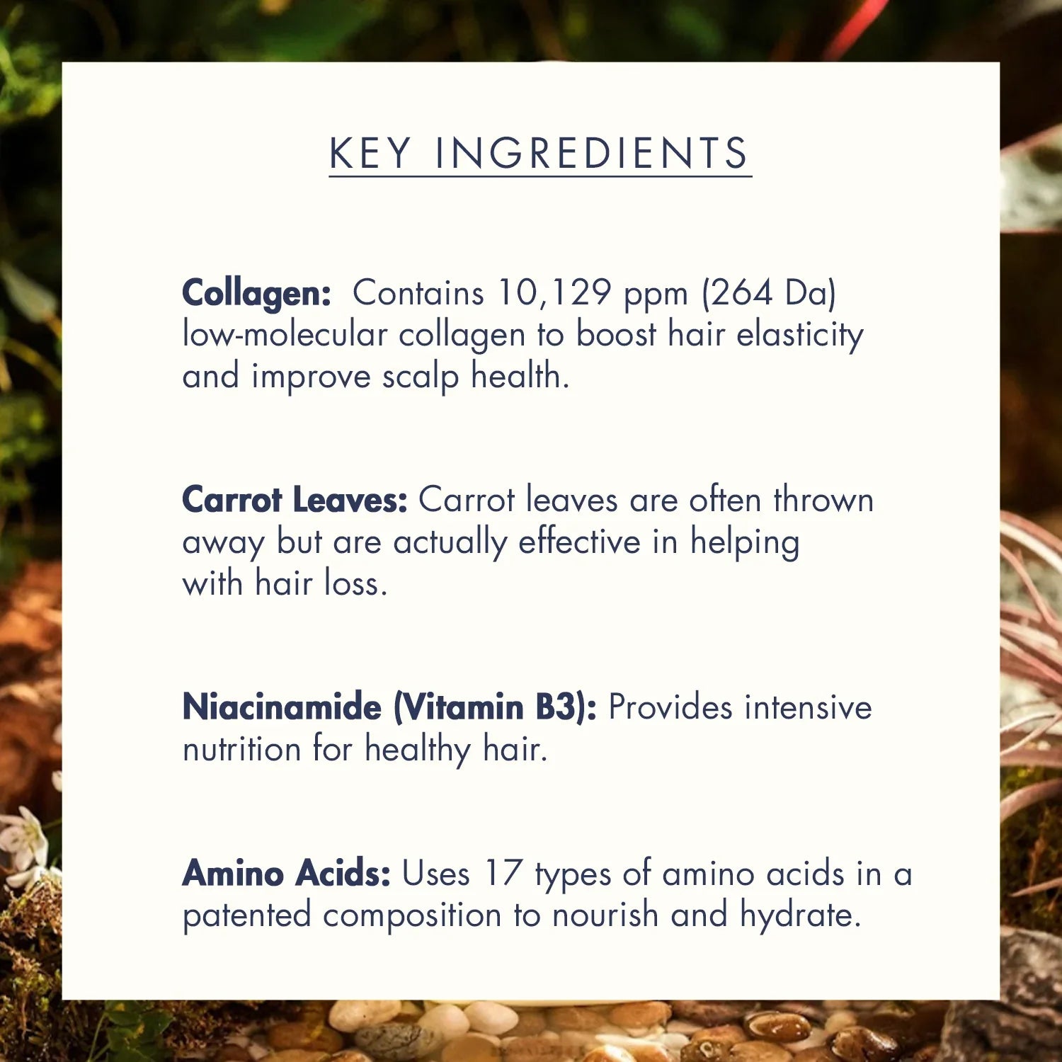 https://allurify.pk/products/treecell-day-collagen-shampoo-morning-of-resort?variant=51765211627836