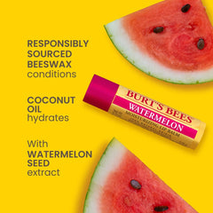 Burt’s Bees Freshly Picked Lip Balm Set