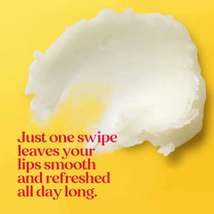 Burt’s Bees Freshly Picked Lip Balm Set