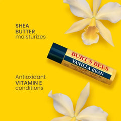 Burt's Bees Assorted Lip Balms Set