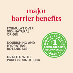 Burt's Bees Pomegranate Lip Balm